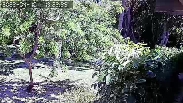 Pousada Vila Imbassai Bagian luar foto